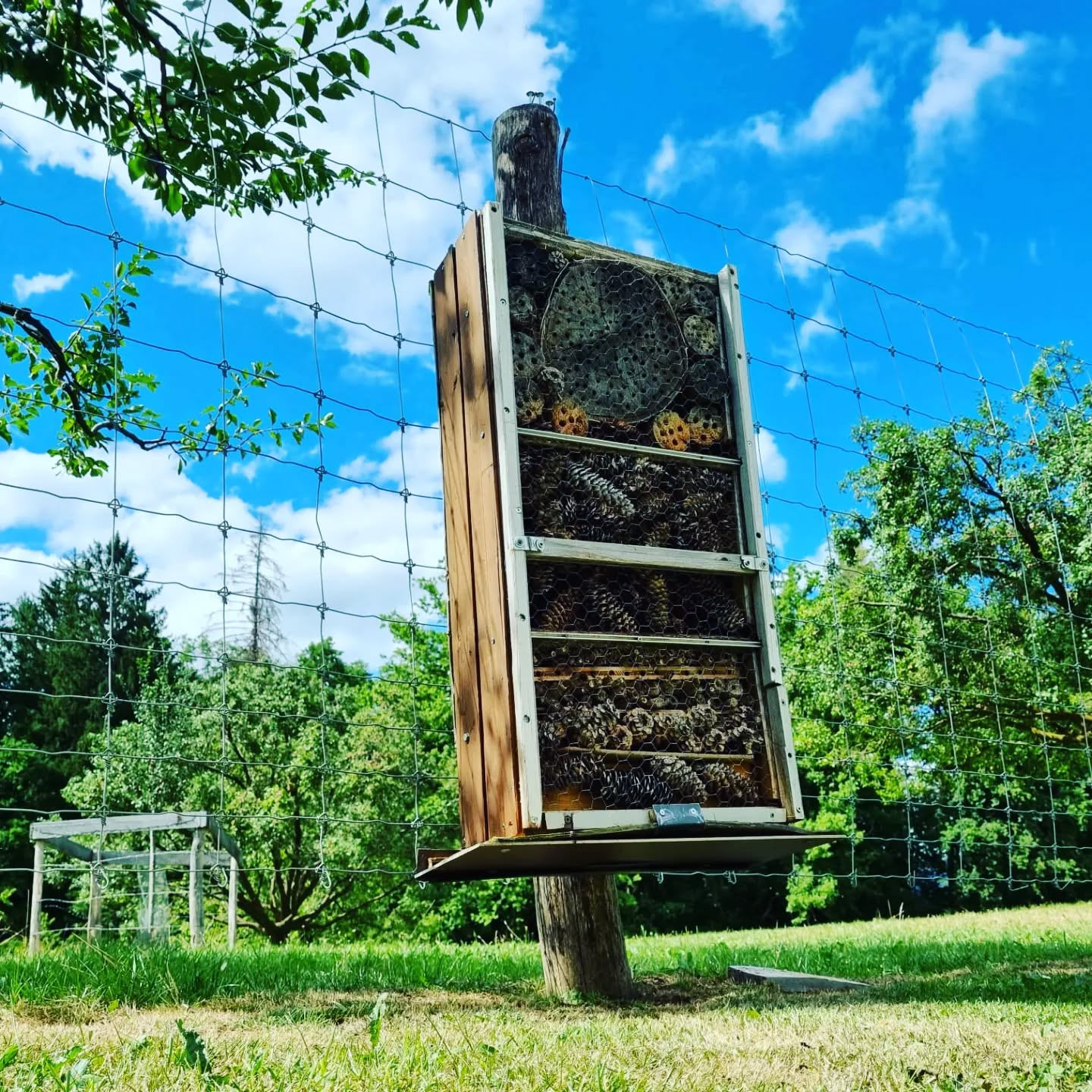 L’hôtel à insectes du verger