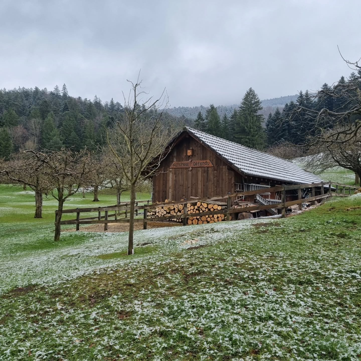 Le Fruit D&eacute;fendu sous la neige